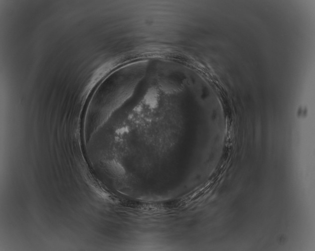 X0000091520099200708241658