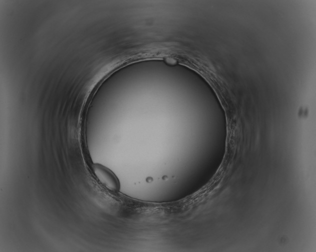 X0000091520100200708241658