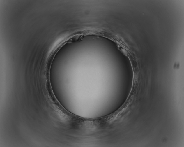 X0000091520101200708241658