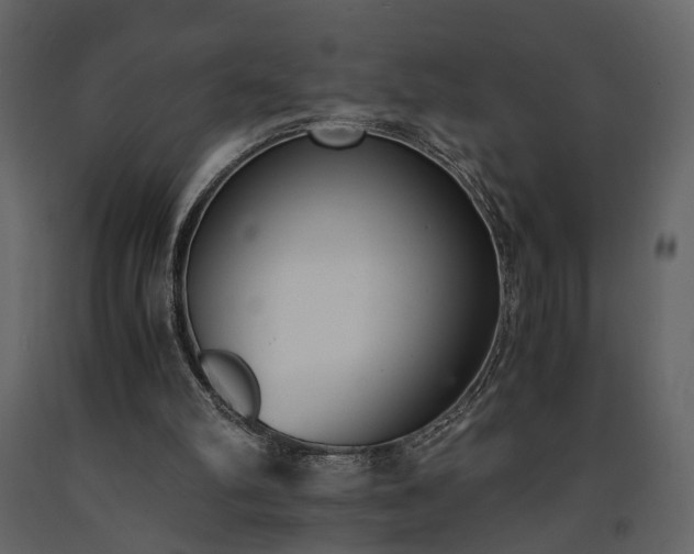 X0000091520102200708241658