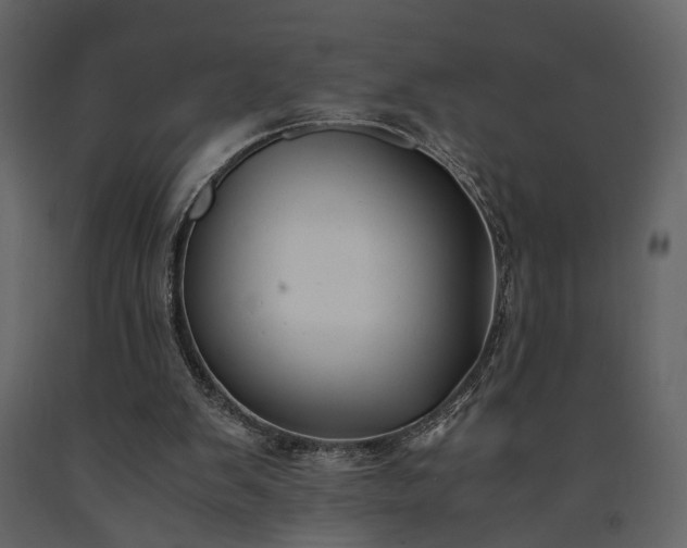 X0000091520103200708241658
