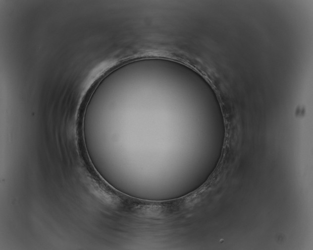 X0000091520104200708241658