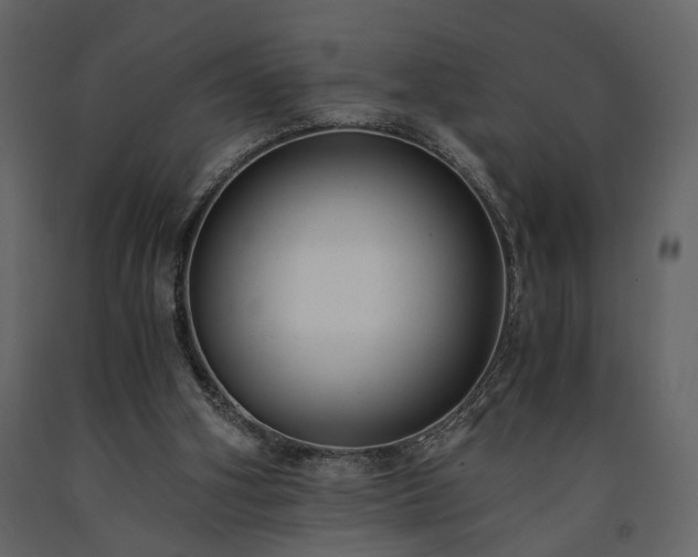 X0000091520106200708241658