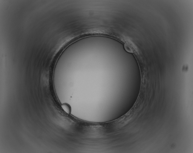 X0000091520108200708241658
