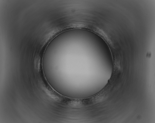X0000091520110200708241658