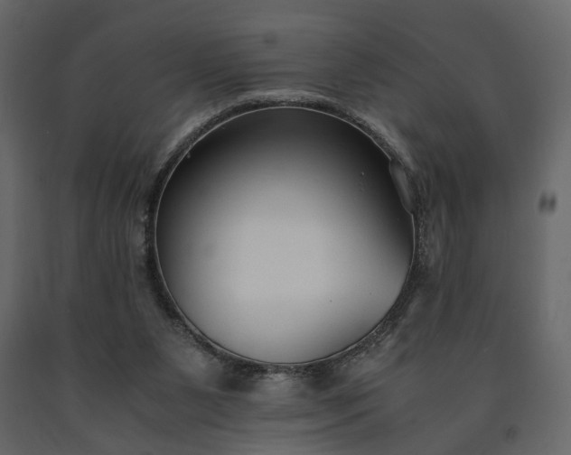 X0000091520111200708241658