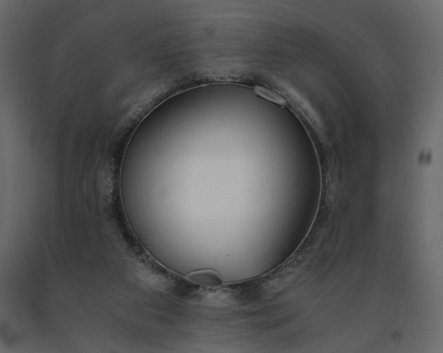 X0000091520113200708241658