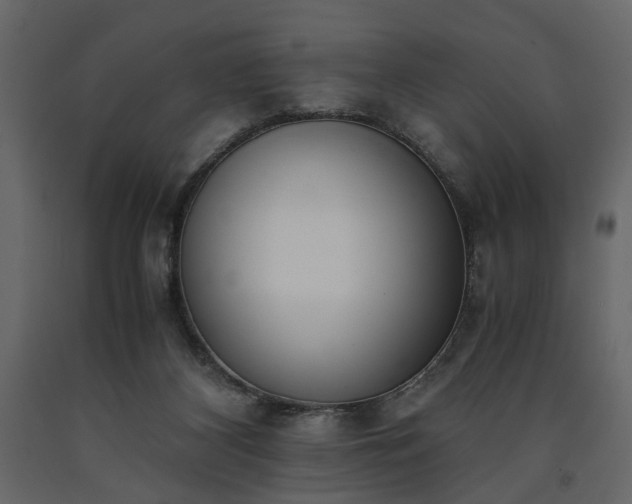 X0000091520116200708241658