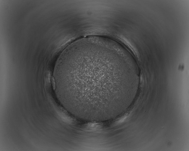 X0000091520117200708241658