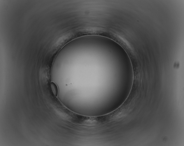 X0000091520119200708241658