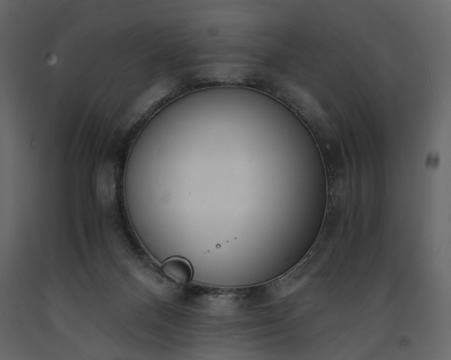 X0000091520120200708241658