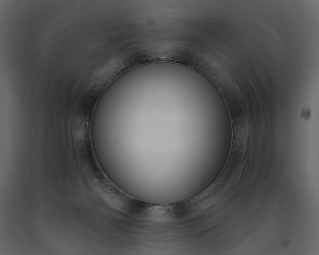 X0000091520126200708241658