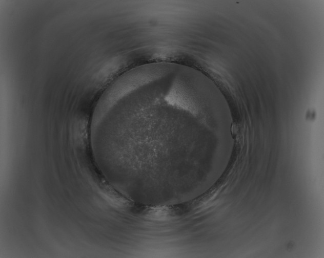 X0000091520127200708241658