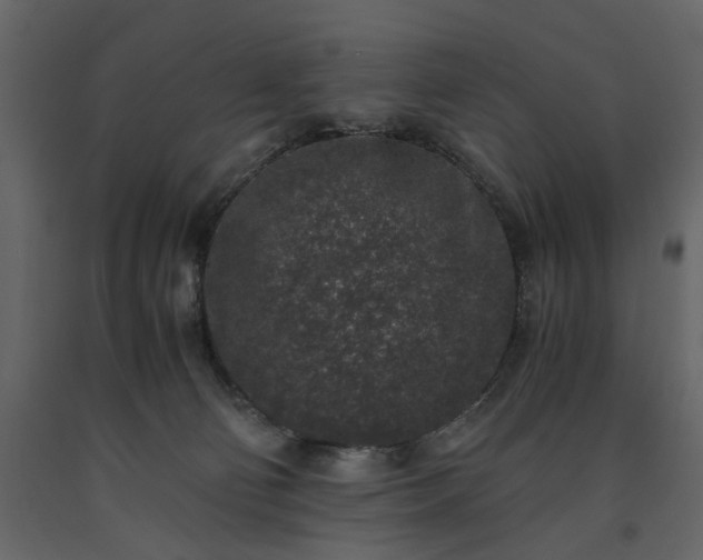 X0000091520130200708241658