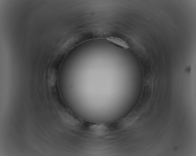X0000091520133200708241658