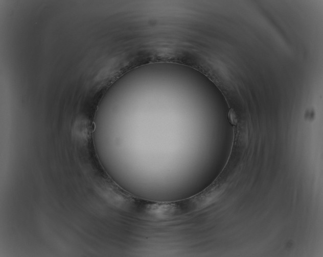 X0000091520135200708241658