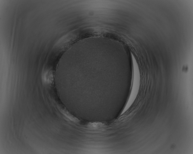 X0000091520137200708241658
