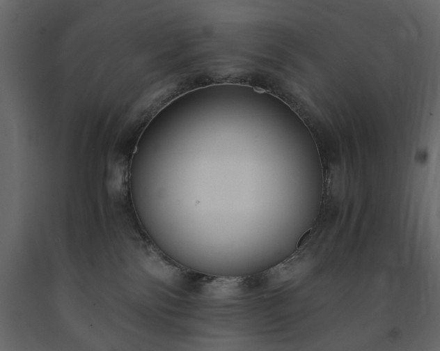X0000091520138200708241658
