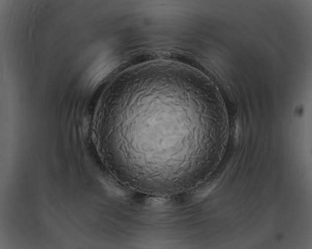 X0000091520139200708241658