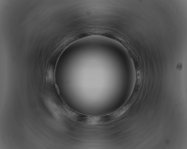 X0000091520143200708241658