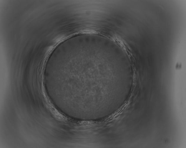 X0000091520145200708241657