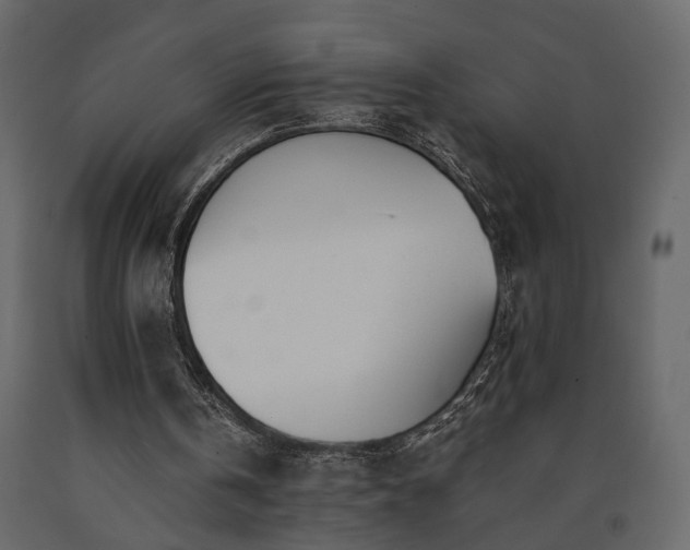 X0000091520146200708241657