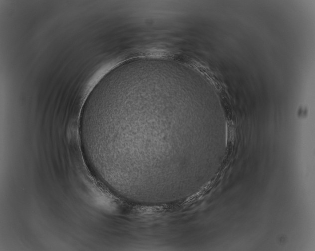 X0000091520147200708241657