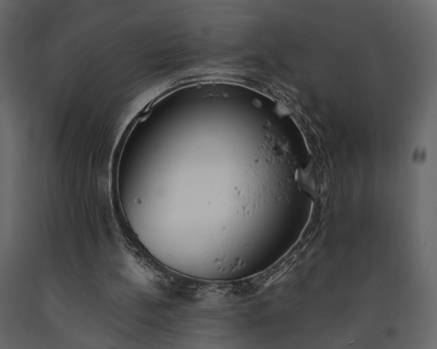 X0000091520148200708241657