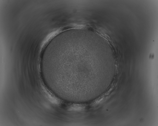 X0000091520149200708241657