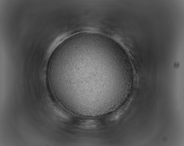 X0000091520151200708241657