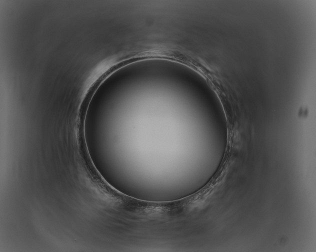 X0000091520152200708241657