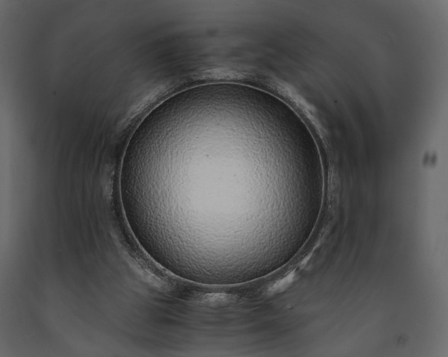 X0000091520153200708241657