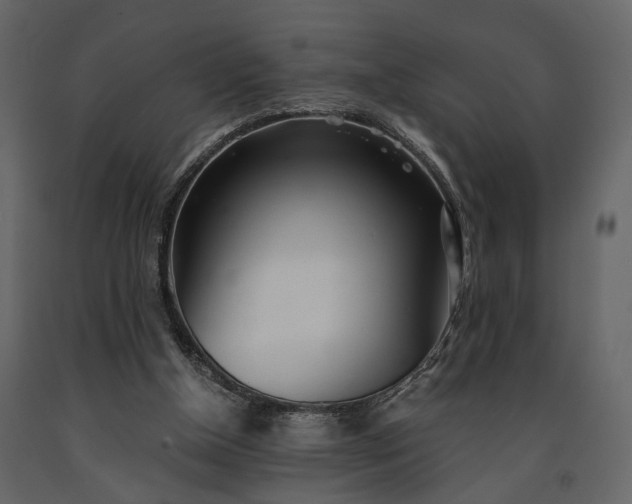 X0000091520154200708241657
