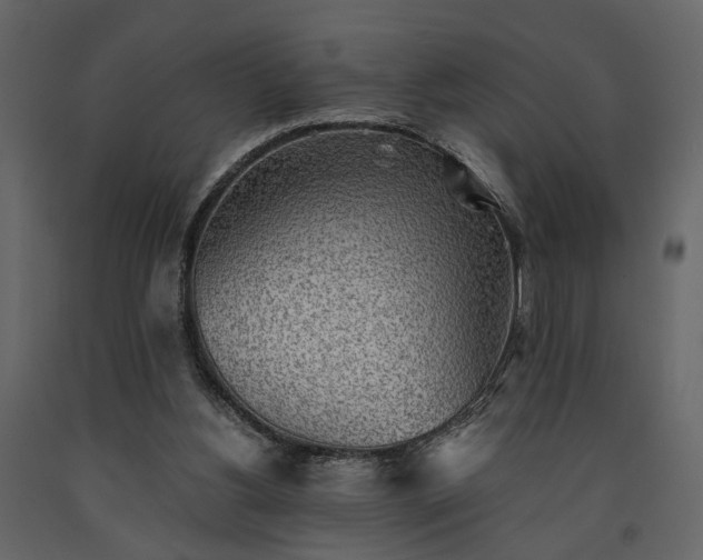X0000091520156200708241657