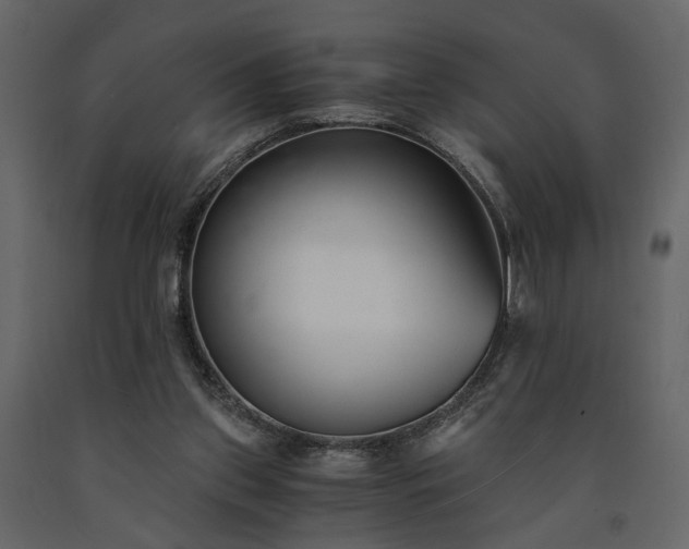 X0000091520157200708241657