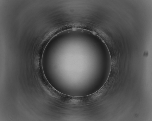 X0000091520158200708241657
