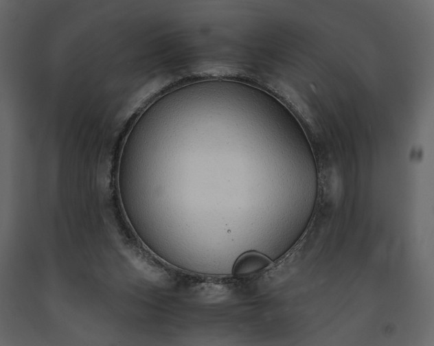 X0000091520159200708241657
