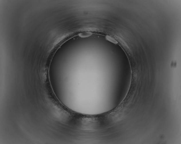 X0000091520160200708241657