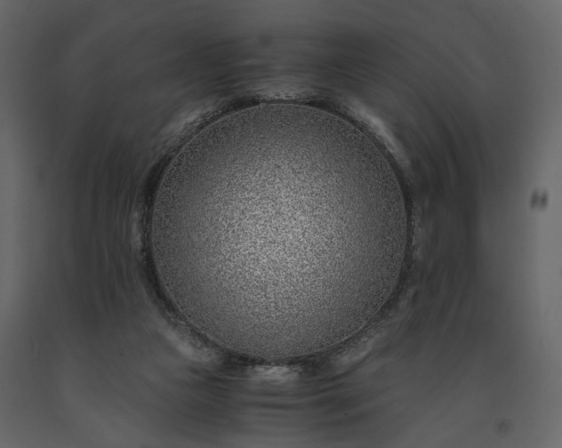 X0000091520161200708241657