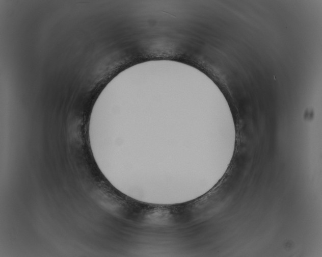 X0000091520162200708241657
