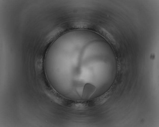 X0000091520163200708241657