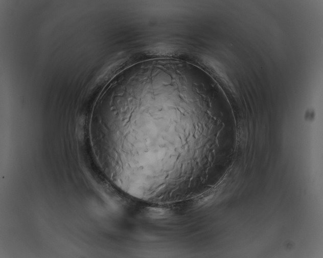 X0000091520167200708241657