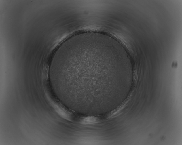 X0000091520168200708241657