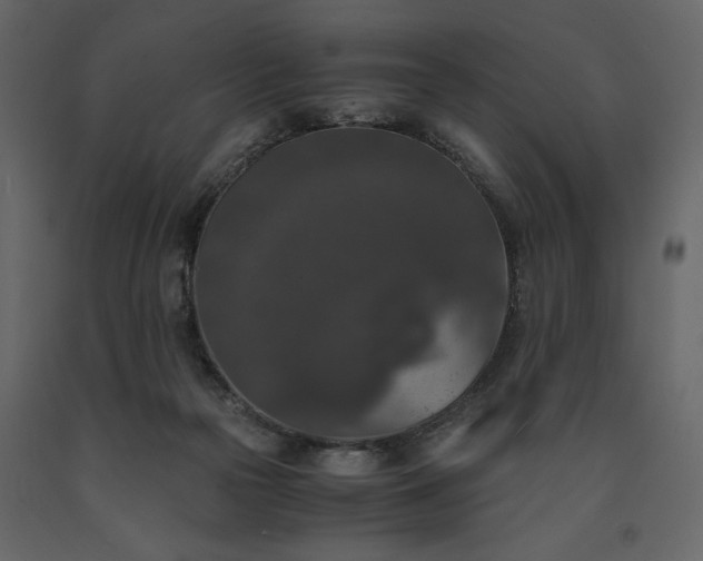X0000091520169200708241657