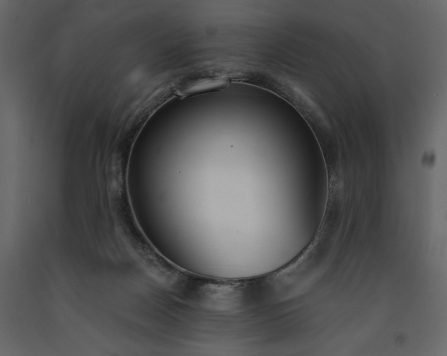 X0000091520170200708241657