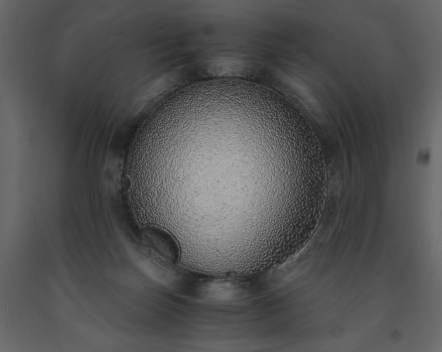 X0000091520171200708241657