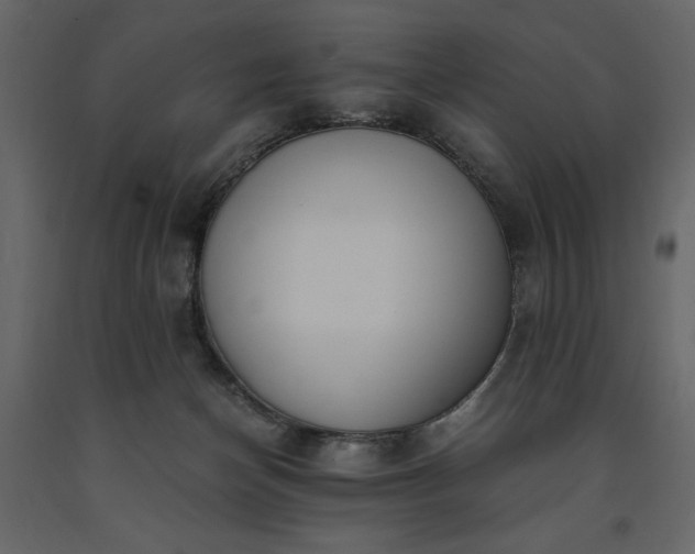X0000091520174200708241657