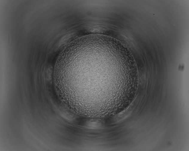 X0000091520175200708241657