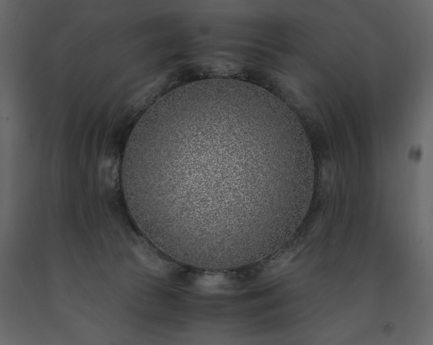 X0000091520177200708241657