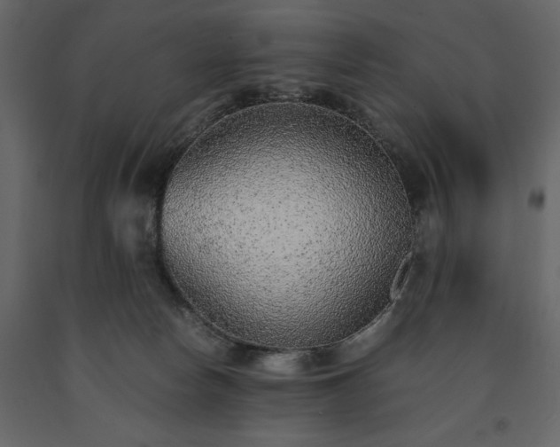 X0000091520178200708241657